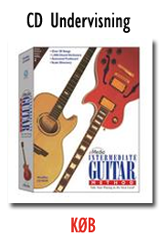 Det n�ste skridt til at l�re at spille guitar p�